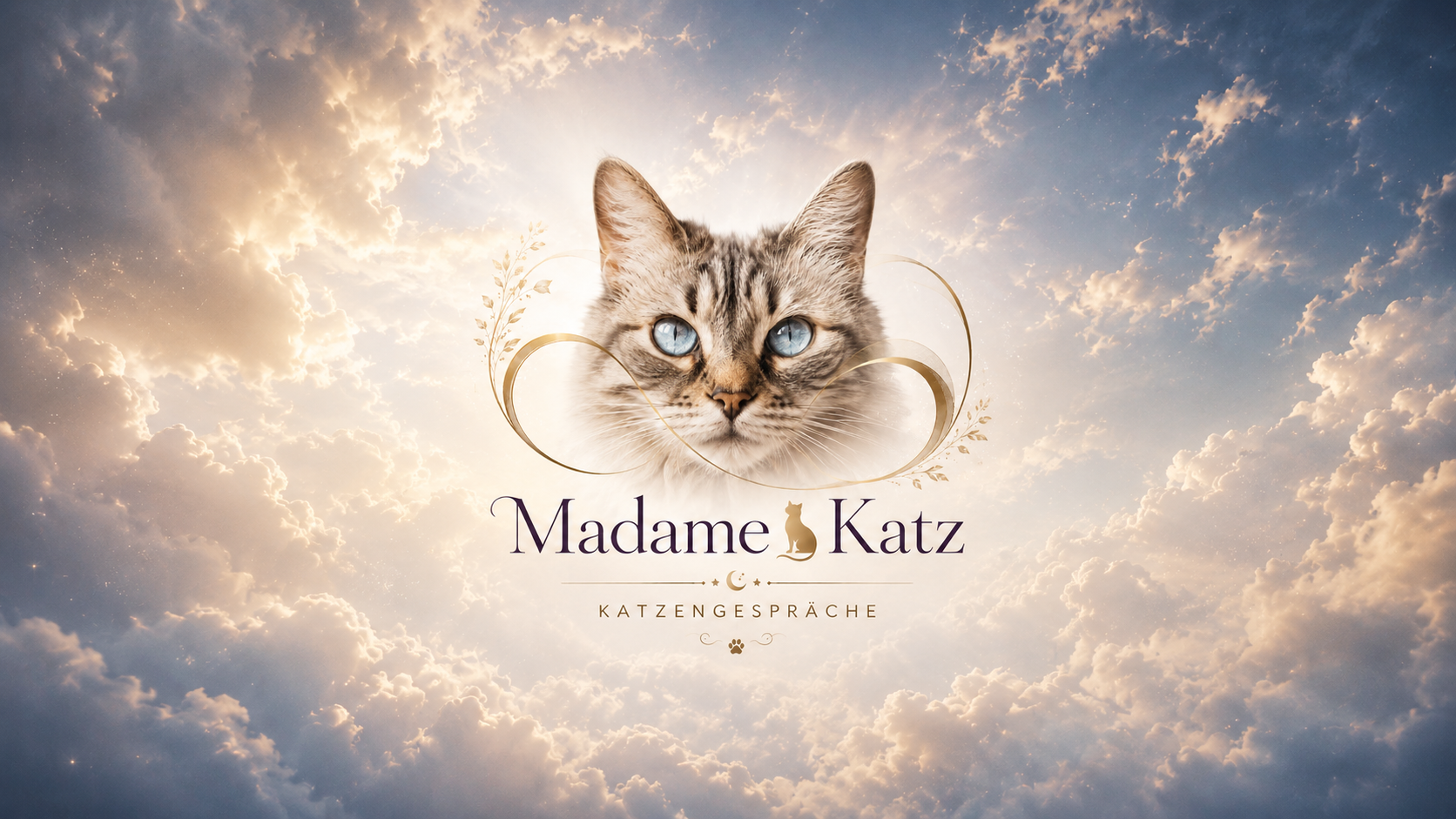Madame Katz – Katzenkommunikation und Katzengespräche in der Schweiz: ruhige Katze in sanften Wolken